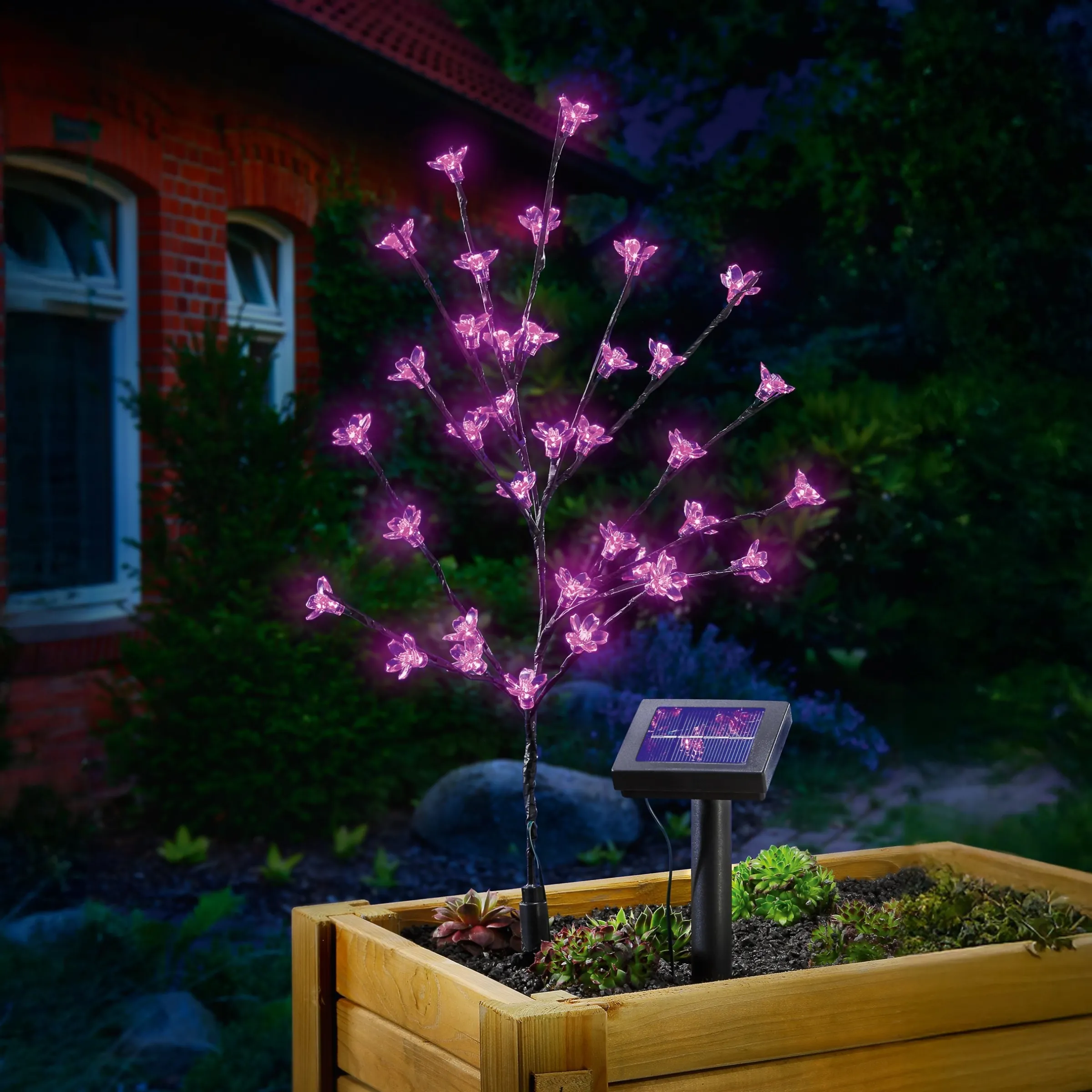 Solar Blütenstrauch mit 36 pinkfarbenen Leuchtblüten