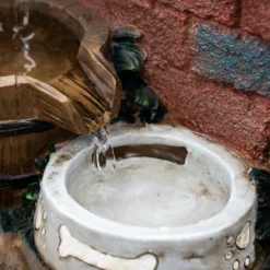 Solarbrunnen Hundewelpe Bruno und Katze Maya am Wasserbrunnen