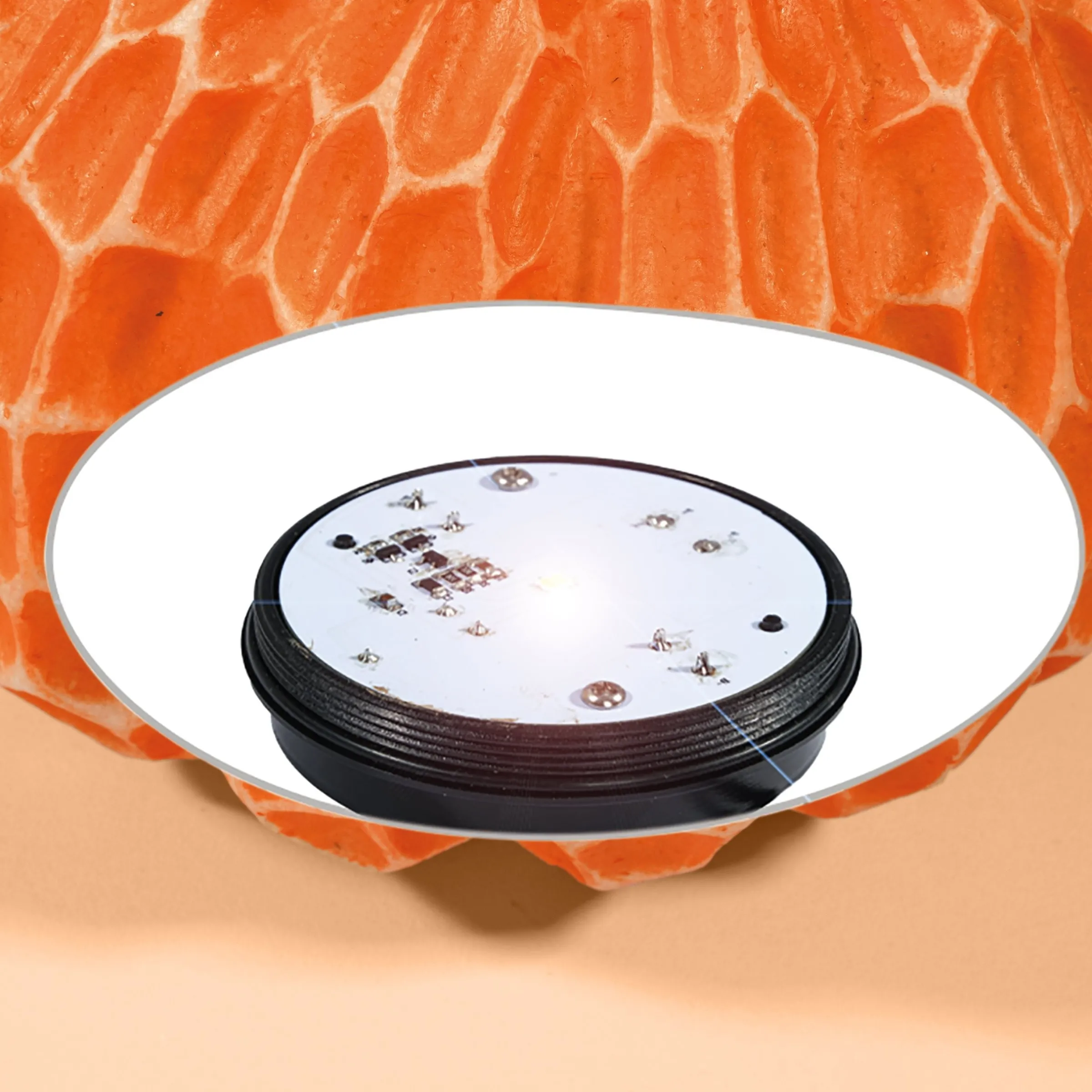Solar Dekoleuchte Kürbis ⌀ 20 cm