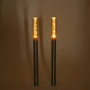 Solar LED Steckleuchtenset Twins 2er Set bernsteinfarben