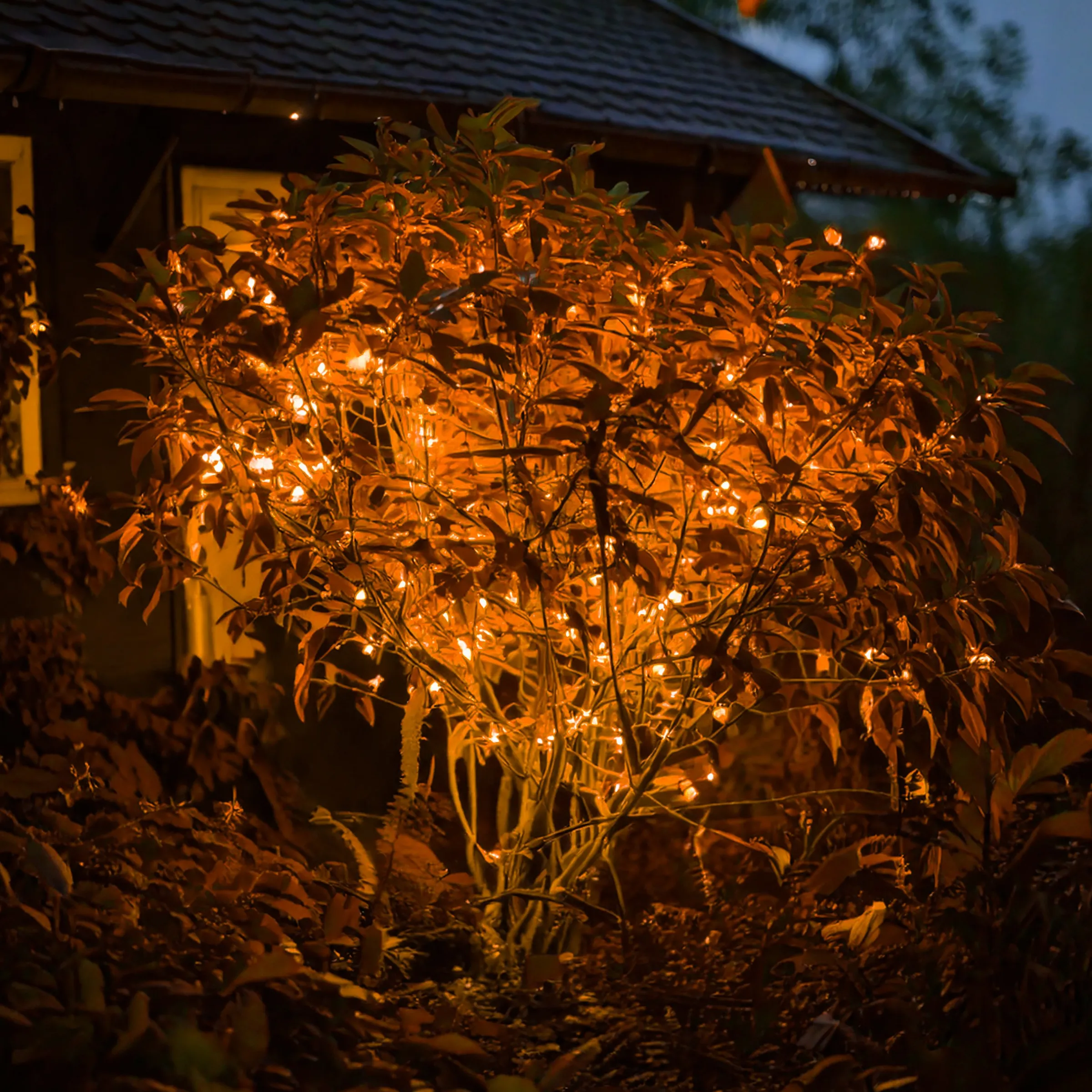 Solar Lichterkette mit 60 bernsteinfarbenen LEDs