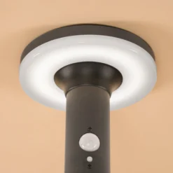 Solar PIR-Standleuchte Mia 85 cm in schwarz