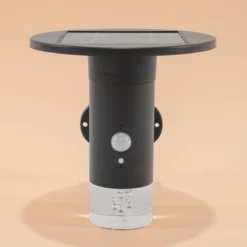 Solar Wandleuchte Biella mit Bewegungssensor