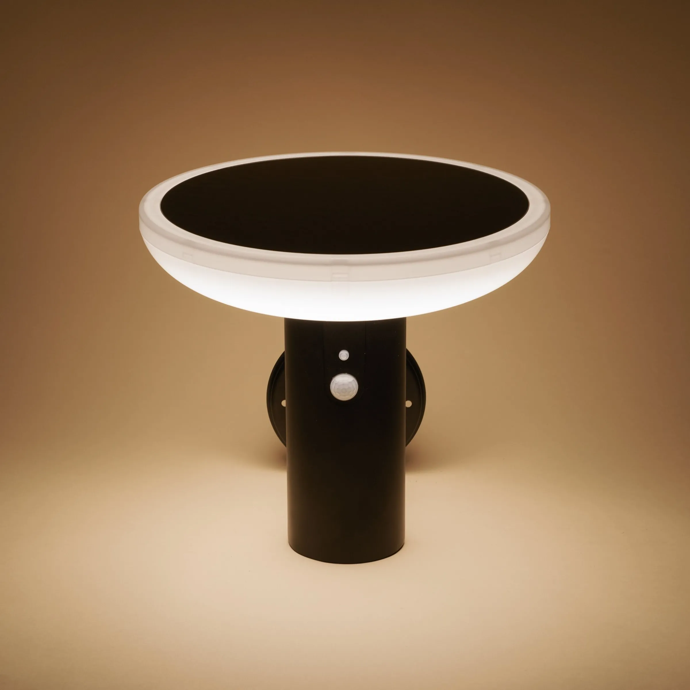 Solar Wandleuchte Linus mit Bewegungssensor