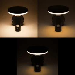 Solar Wandleuchte Ribolla mit Bewegungssensor