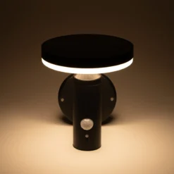 Solar Wandleuchte Ribolla mit Bewegungssensor