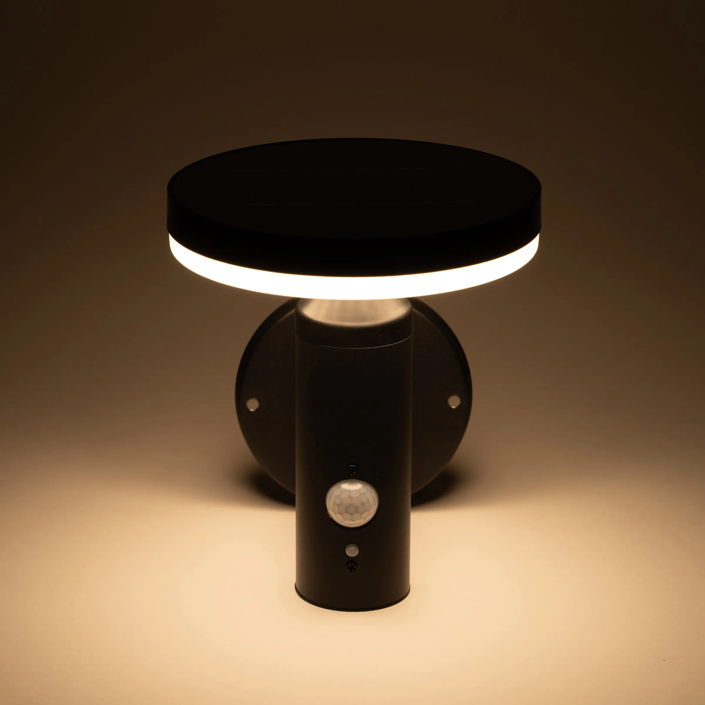 Solar Wandleuchte Ribolla mit Bewegungssensor