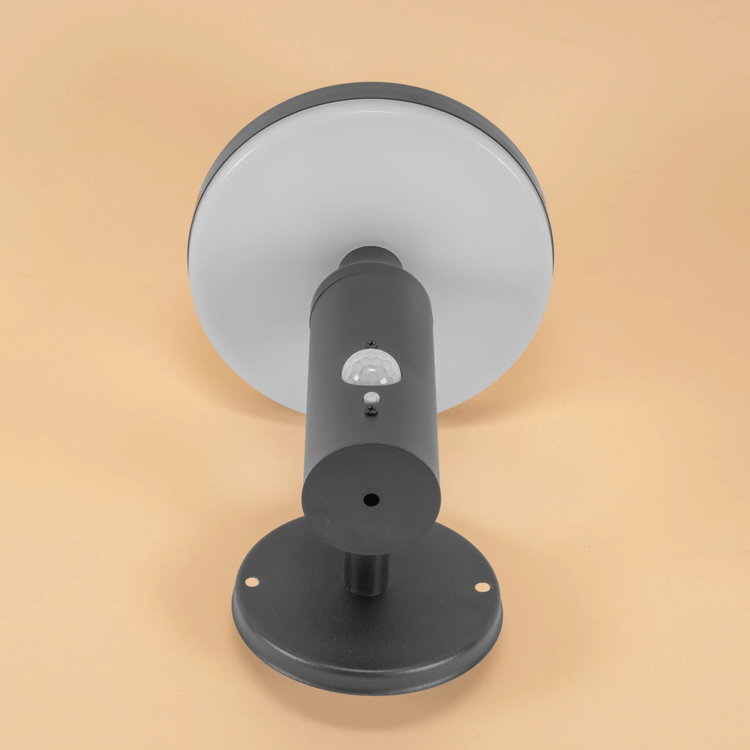 Solar Wandleuchte Ribolla mit Bewegungssensor