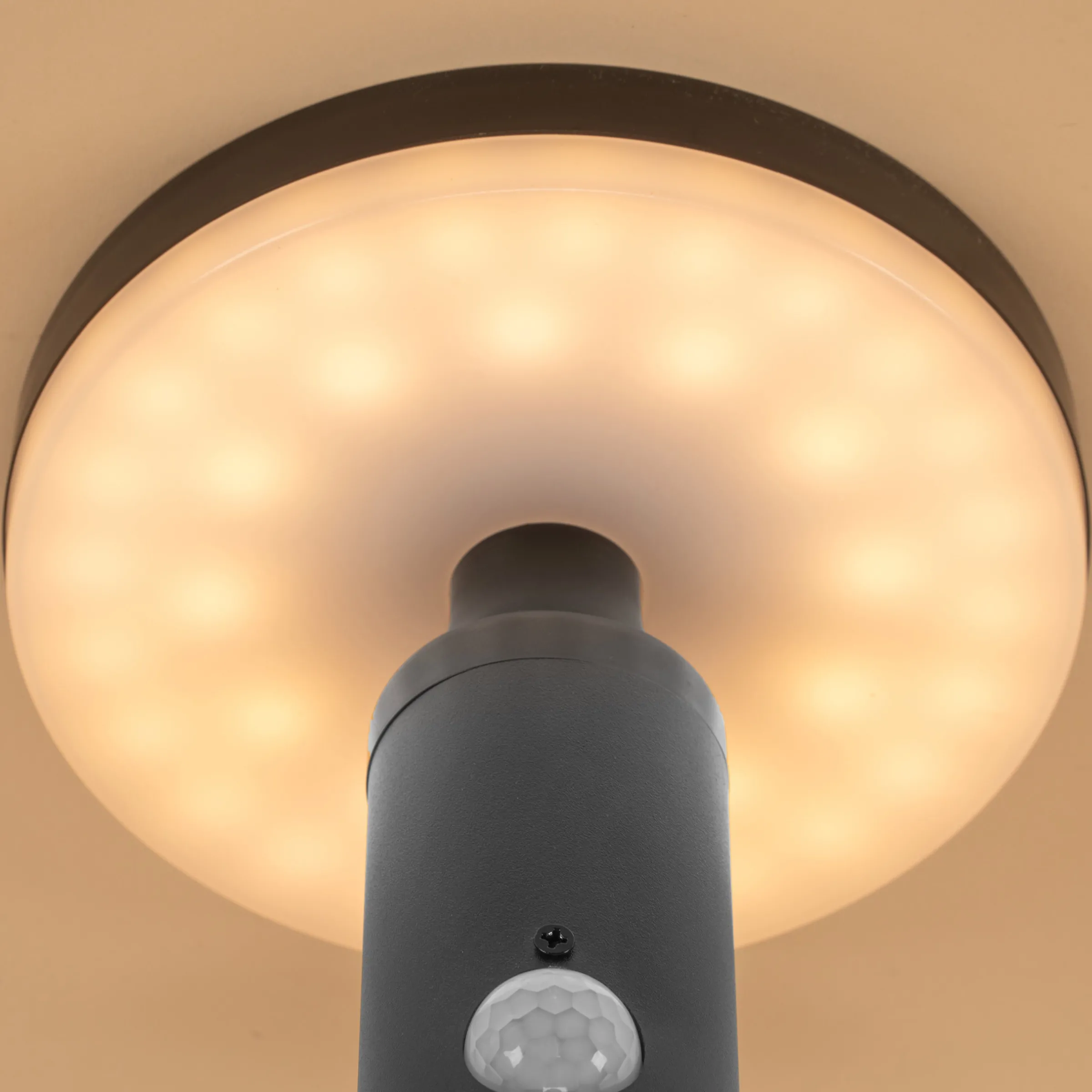 Solar Wandleuchte Ribolla mit Bewegungssensor