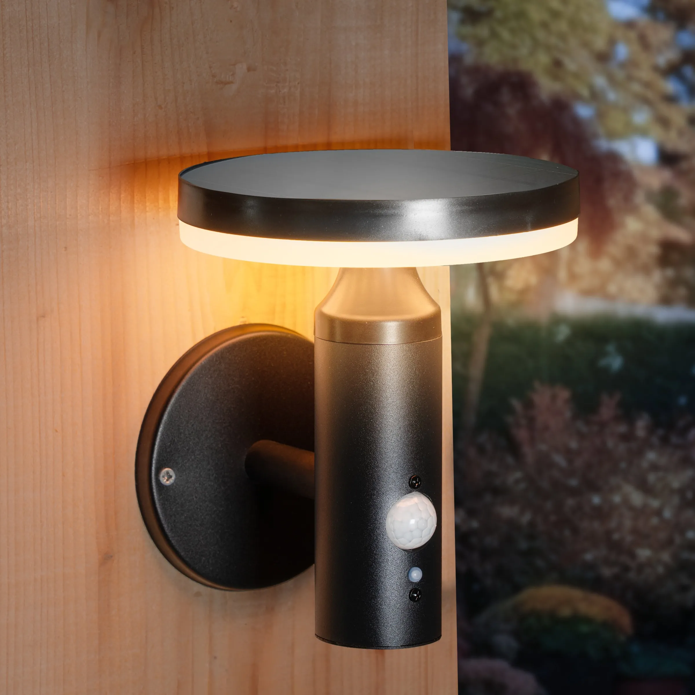 Solar Wandleuchte Ribolla mit Bewegungssensor