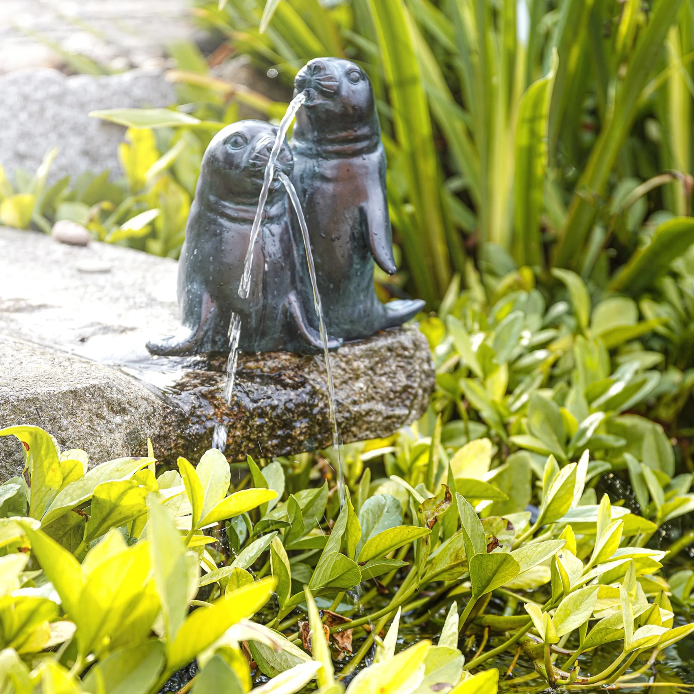 Wasserspeier-Figur Seehundpaar Paula und Paul